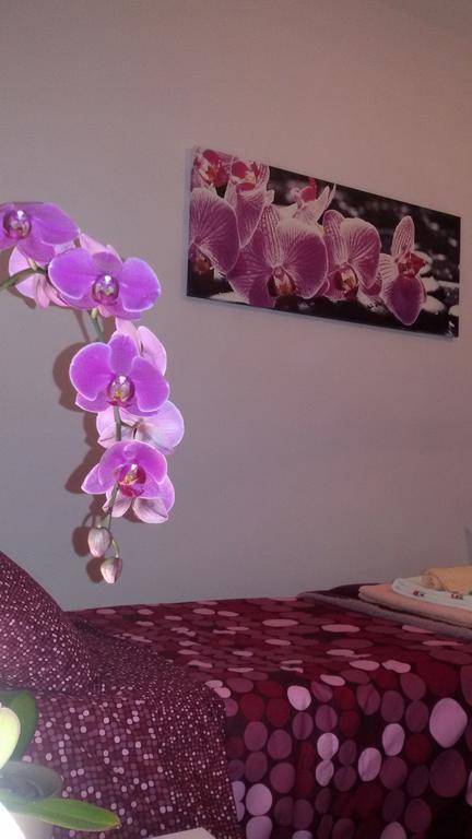 B&B Interno 8 ローマ 部屋 写真